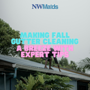 how-to-clean-gutter-in-fall - NW Maids House Cleaning Service How to Clean Gutter in Fall