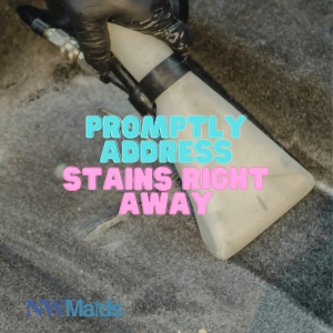 carpet-cleaning-hacks - NW Maids House Cleaning Service Carpet Cleaning Hacks