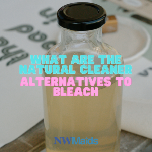 natural-alternatives-to-bleach - NW Maids House Cleaning Service Natural Alternatives to Bleach