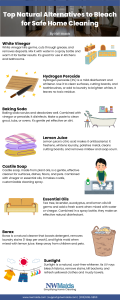 top-natural-alternatives-to-bleach-for-safe-home-cleaning - NW Maids House Cleaning Service Top Natural Alternatives to Bleach for Safe Home Cleaning