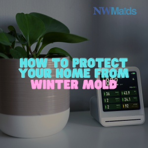 how-to-protect-your-home-from-winter-mold - NW Maids House Cleaning Service How to Protect Your Home From Winter Mold