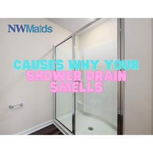The Hidden Reasons Why Your Shower Drain Smells