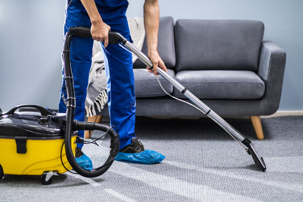 How can I find professional house cleaning services in Seattle, WA?