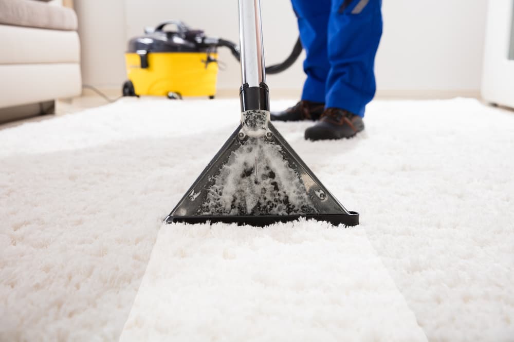 How can I prolong my carpet and upholstery life?