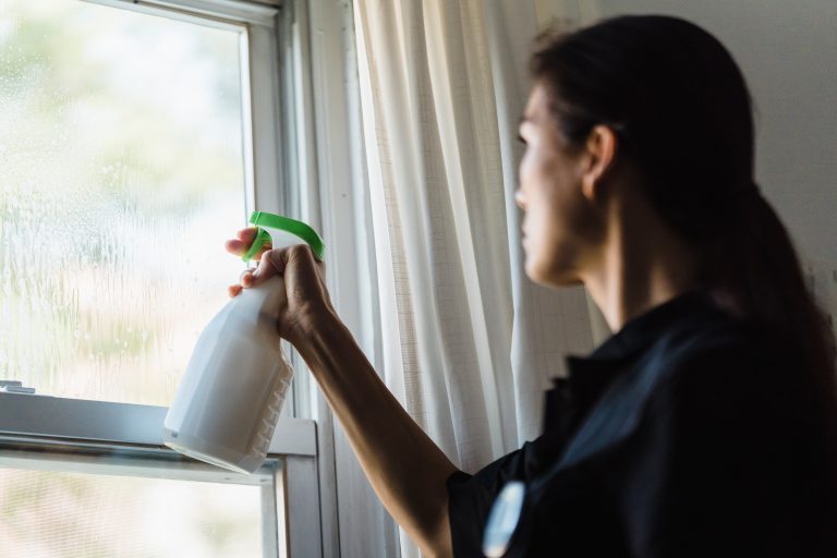 Best Way to Clean Glass Windows NW Maids