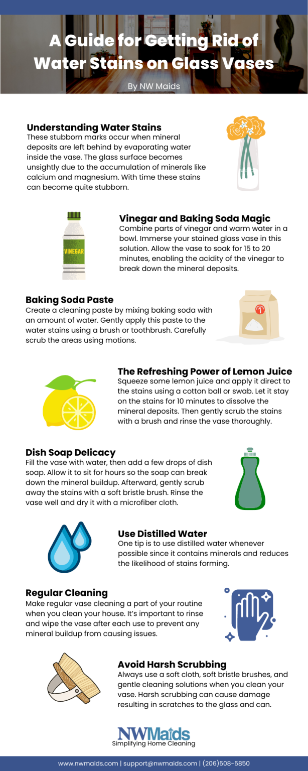 Getting Rid of Water Stains on Gla ss Vases NW Maids