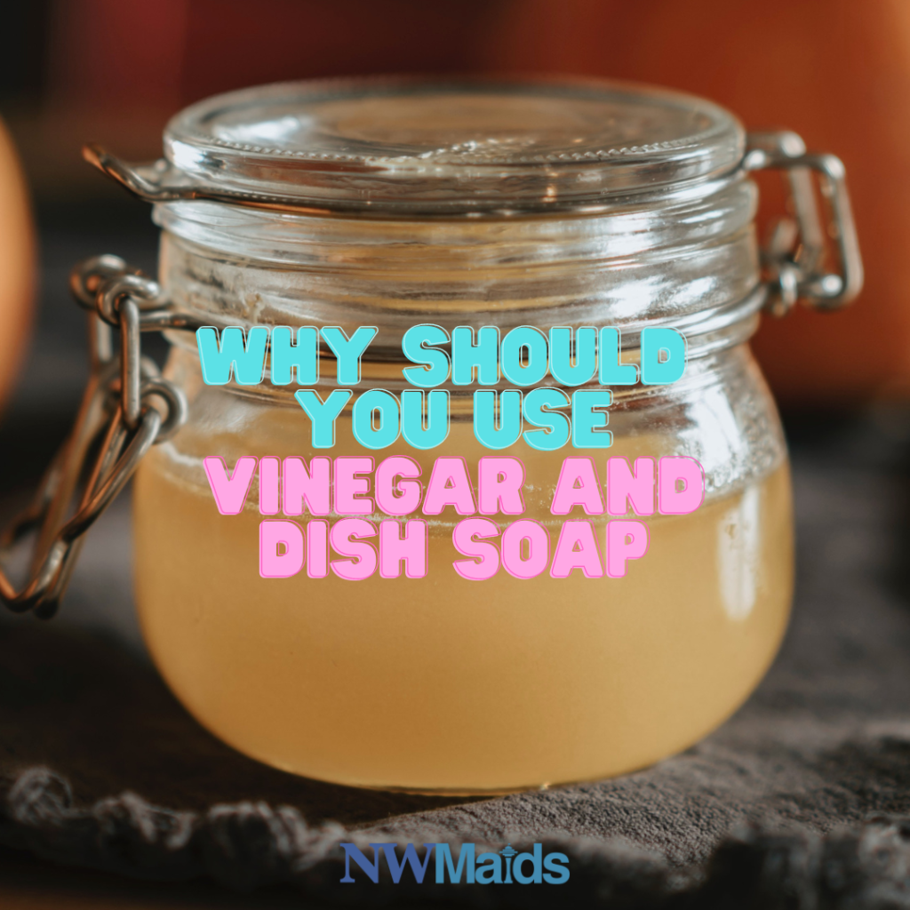 Get Rid Of Drain Gnats - Instagram