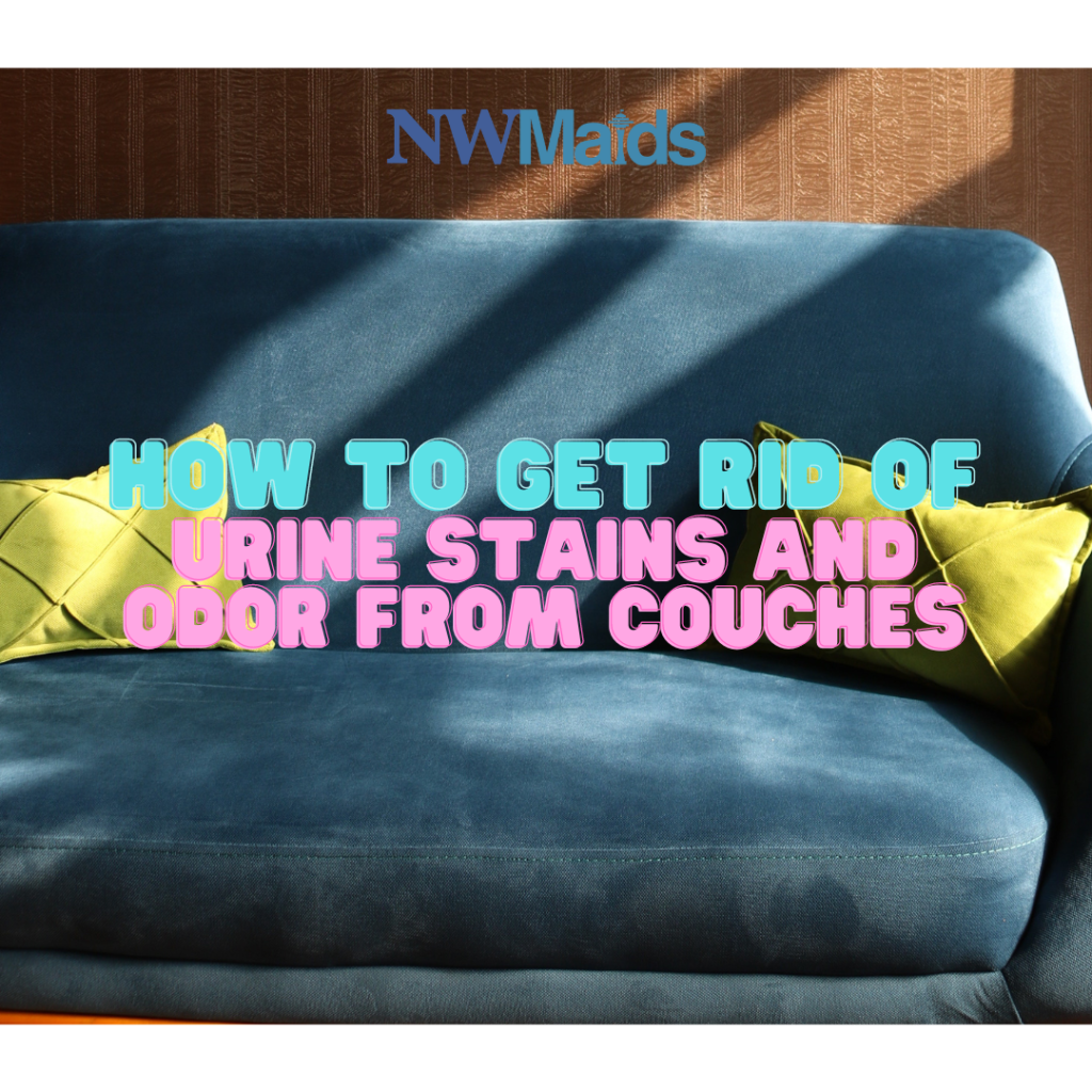 How to Get Rid of Urine Stains and Odor from Couches NW Maids"