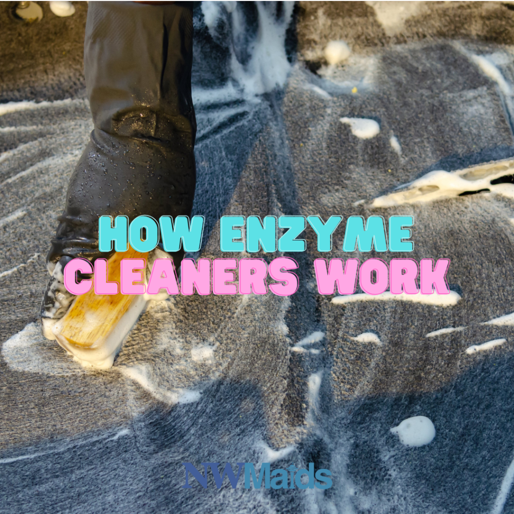 Green Cleaning Revolution Introducing Enzyme Cleaner NW Maids