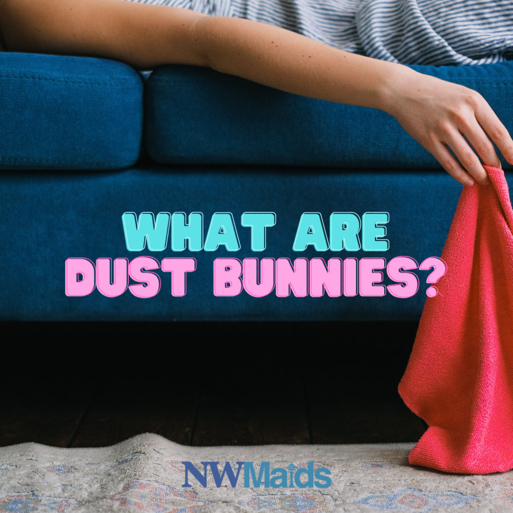 Dust Bunnies Unveiled The Hidden Culprits Lurking in Your Home NW Maids