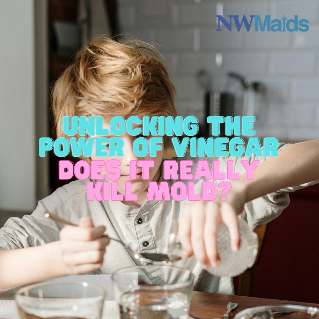 Unlocking the Power of Vinegar Does It Really Kill Mold? NW Maids