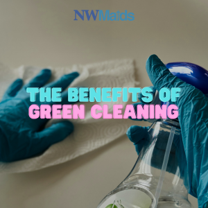 What Is a Green Cleaning Service?