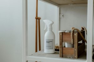 What Is a Green Cleaning Service?