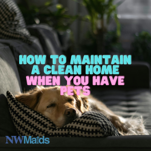 How to Clean a Home With Pets Without Constant Mess