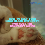 How to Clean a Home With Pets Without Constant Mess