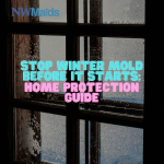 How to Protect Your Home From Winter Mold