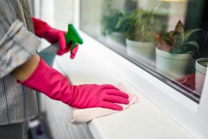 How to Handle Special Requests With Professional Cleaners
