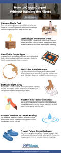 How to Clean Carpet Without Ruining the Fibers