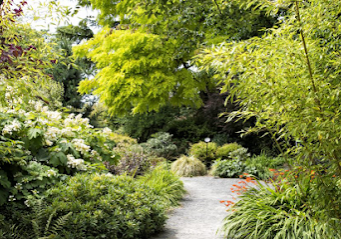 Bellevue Botanical Garden in Seattle WA